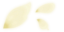 요정의 날개(여)