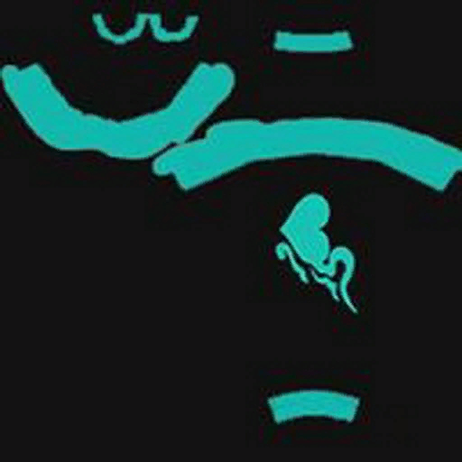 고급 록스타메가폰(여)