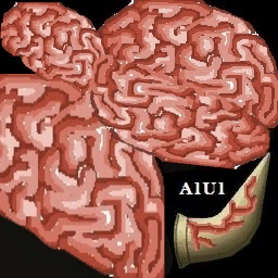 고급 러닝백헬멧(남)