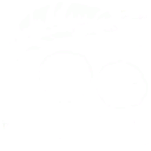 고급 달타냥모자(여)