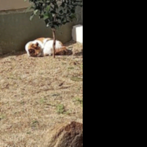 고급 후크모자(남)