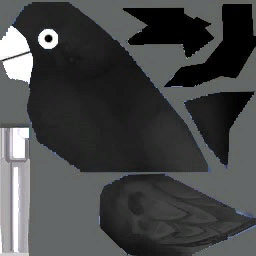 고급 크로우의레이븐(여)