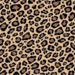 고급 조로의상(남)