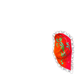 갤럭시 의상(여)