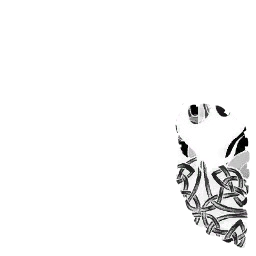 갤럭시 의상(여)