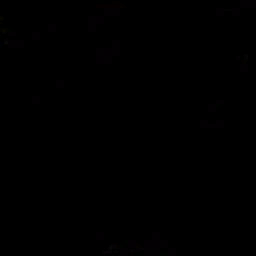 피닉스 날개(여)