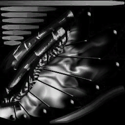 피닉스 날개(남)