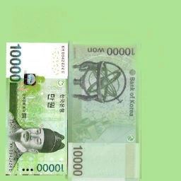 고급 태권현판(남)